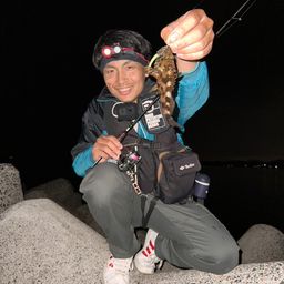 ガシラ