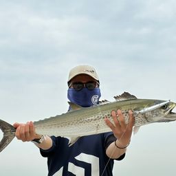 サワラ