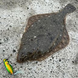 イシモチ