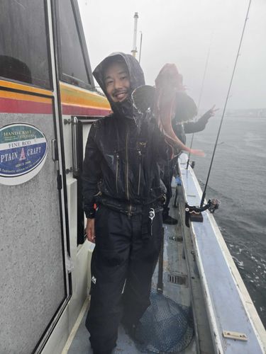 ホウボウの釣果