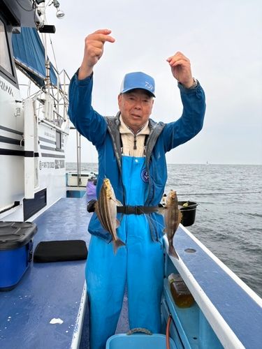 イサキの釣果