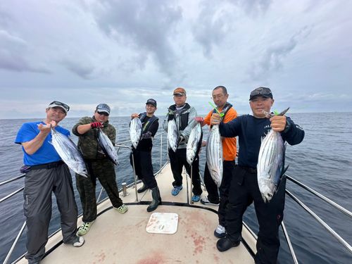 カツオの釣果