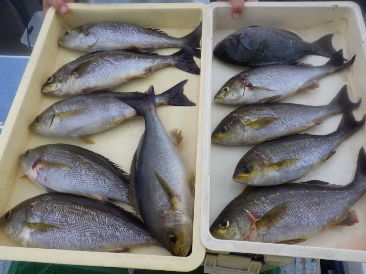 石川釣船@船長さんの釣果 2枚目の画像