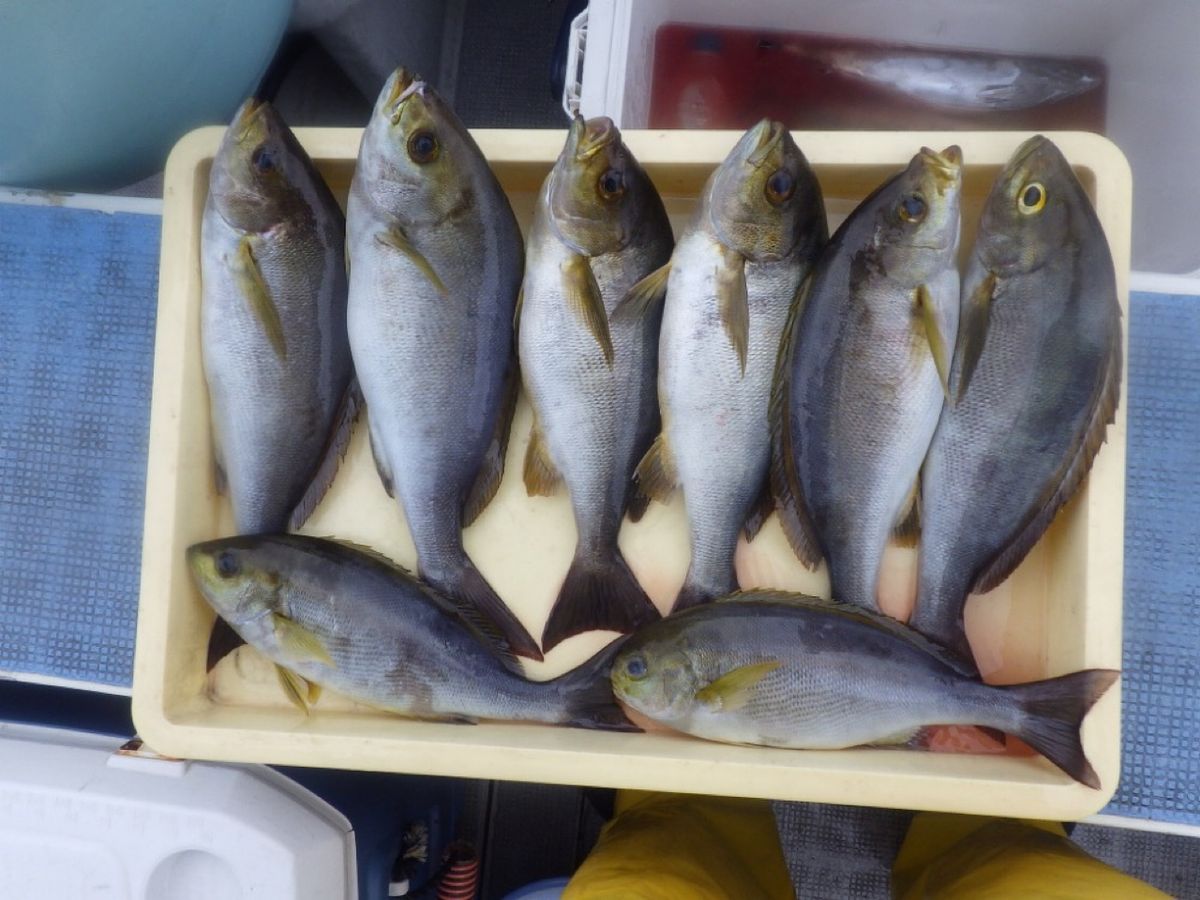 石川釣船@船長さんの釣果 3枚目の画像