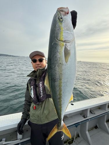 ワラサの釣果