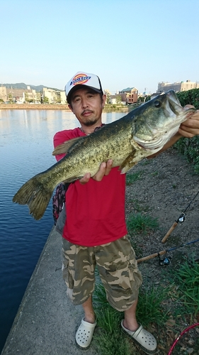 ブラックバスの釣果