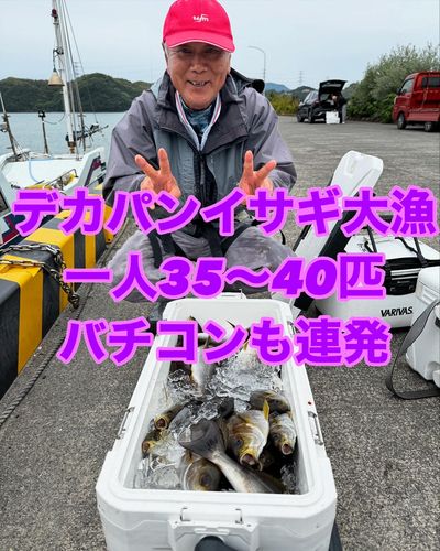 イサキの釣果