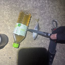 アジ