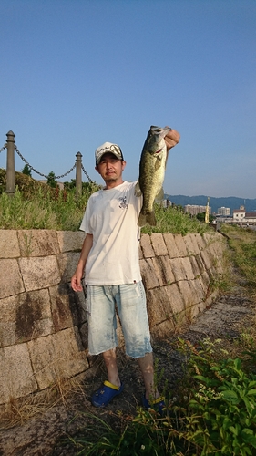 ブラックバスの釣果