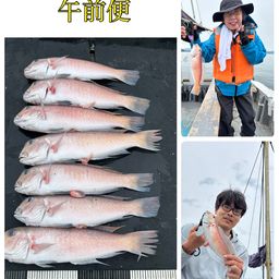 シロアマダイ