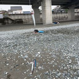 サバ