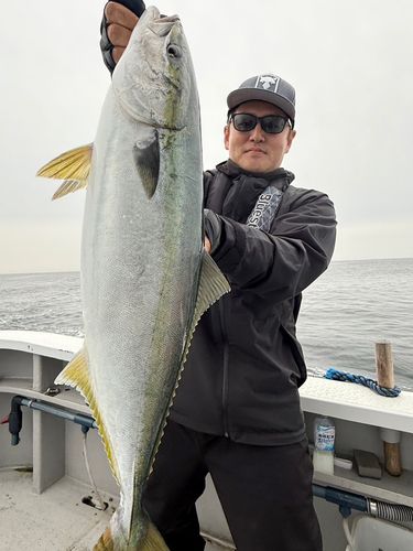 ワラサの釣果