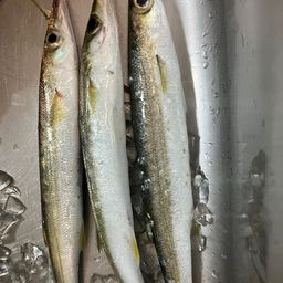 カマス