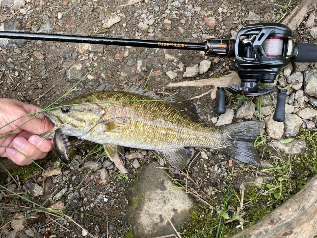 スモールマウスバス