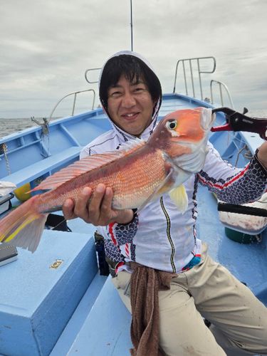 アマダイの釣果