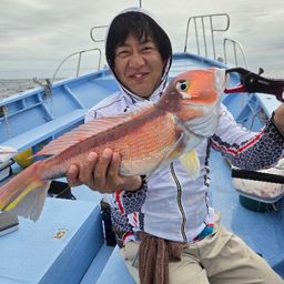 アマダイ