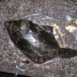 クロガシラガレイ