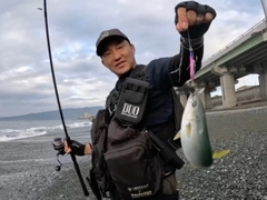 ワカシの釣果
