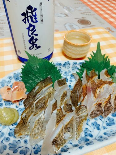 クジメの釣果