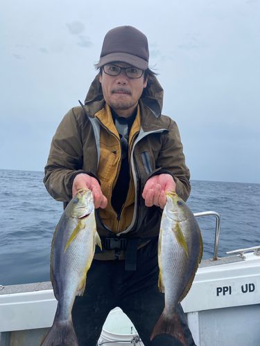 イサキの釣果