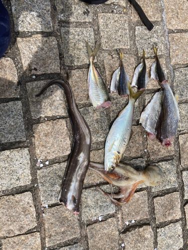 釣果