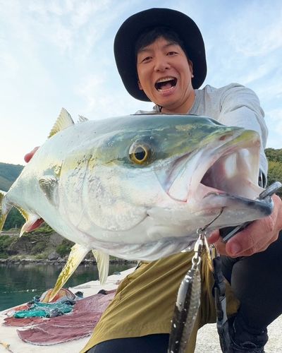 ブリの釣果