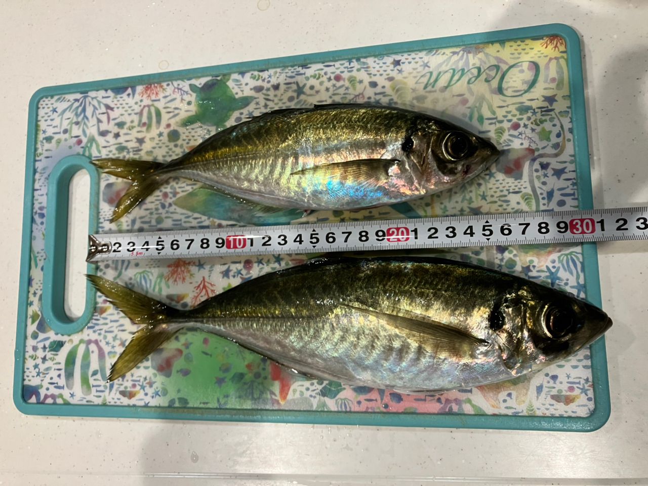 アジ