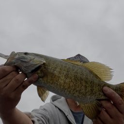 スモールマウスバス