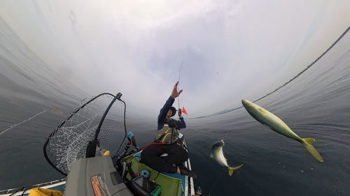 ワカシの釣果
