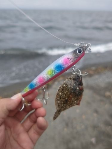 釣果