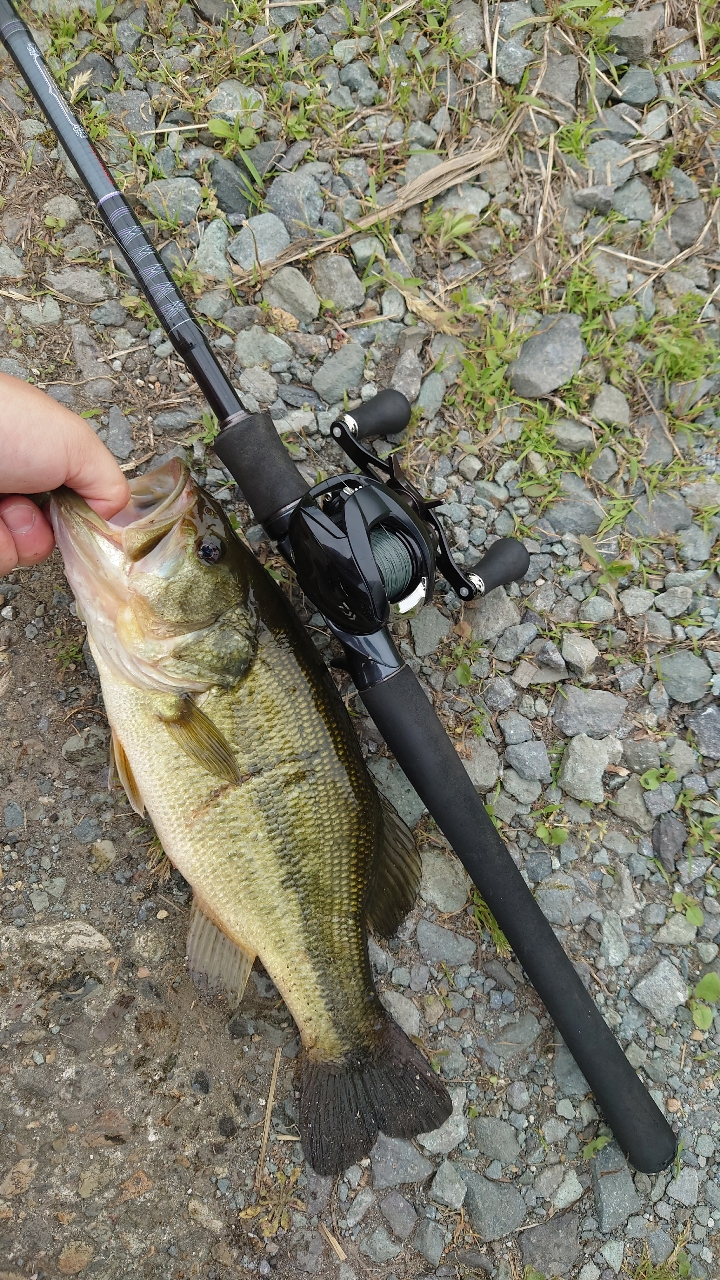 DAIWA 18ハートランド 721HRB-18の最安値・インプレ・釣果