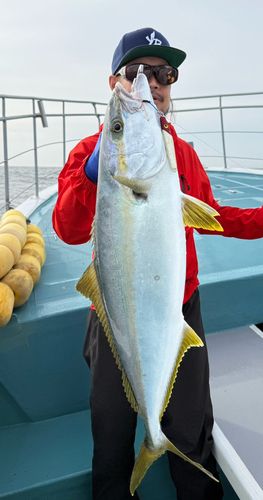 ワラサの釣果