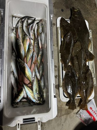 釣果
