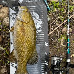 スモールマウスバス