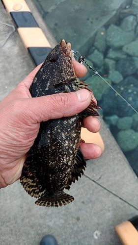 釣果