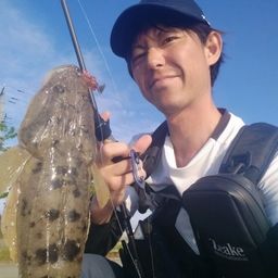 マゴチ