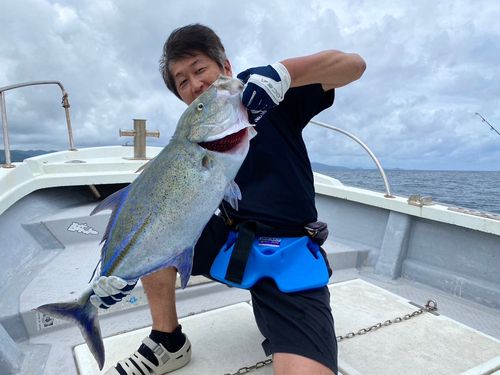 シロブチハタの釣果