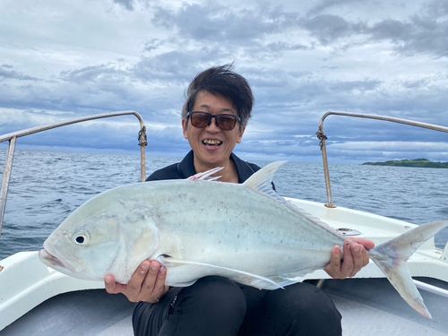 シロブチハタの釣果