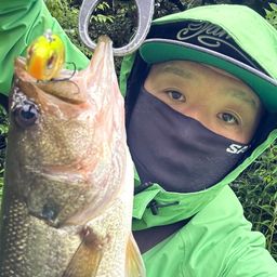 ラージマウスバス