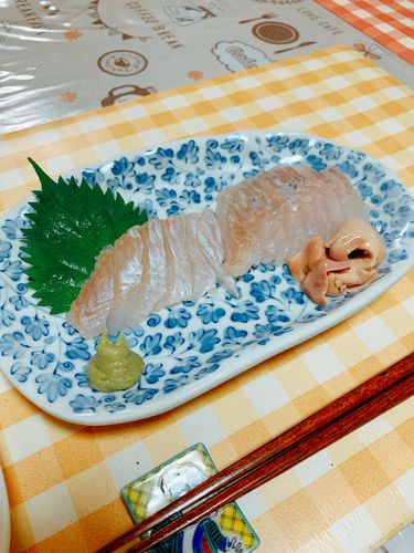 マゾイの釣果