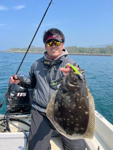 ヒラメの釣果