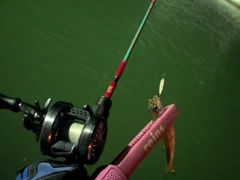 クロムツの釣果