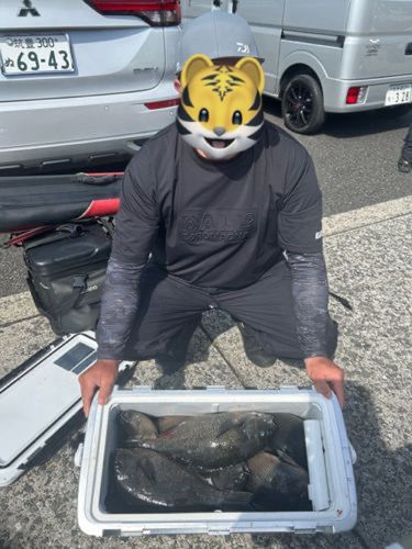 メジナの釣果
