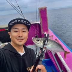 マアジの釣果