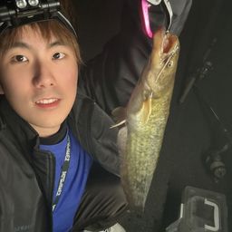 ナマズ
