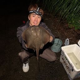 アカエイ