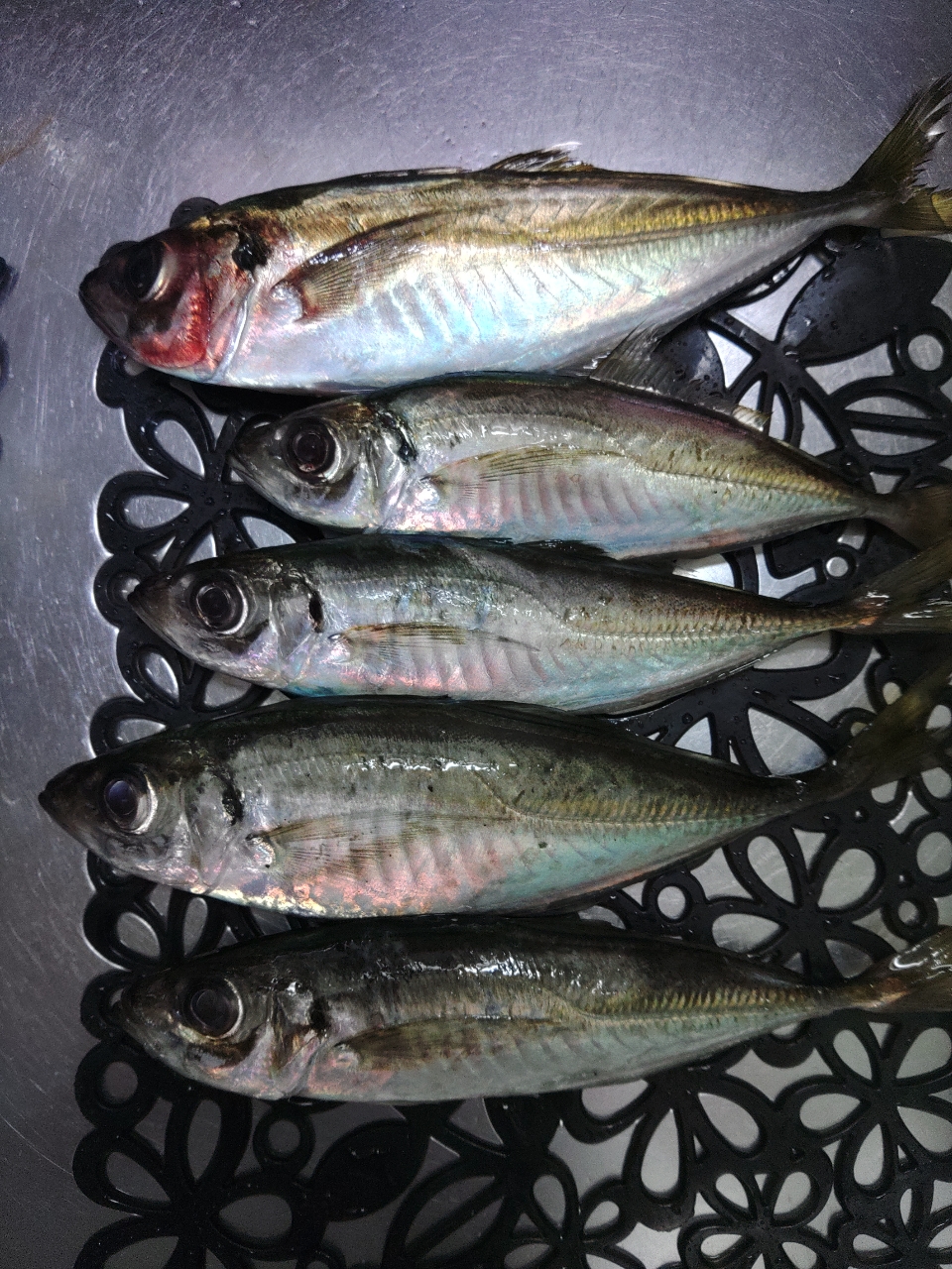 SHIMANO - シマノ　18　ソアレ　SS　アジング　S74L-S ソアレ SS アジング | ライトソルト | ロッド | 製品情報