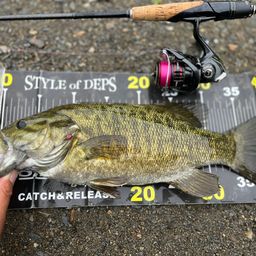 スモールマウスバス