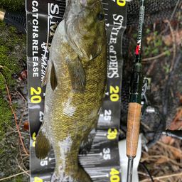 スモールマウスバス