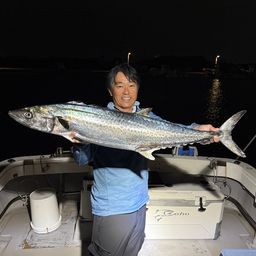 サワラ